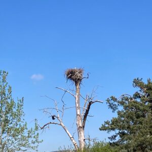 Bild19